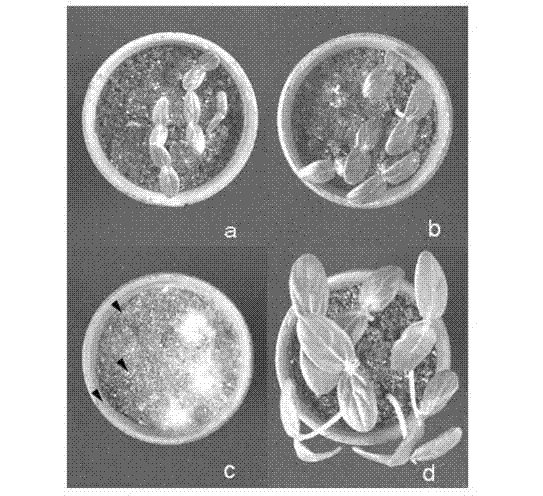 zzz0517様 御確認ページ 災害用伝言板（web171）利用者情報の確認方法 | 災害対策 | 企業情報